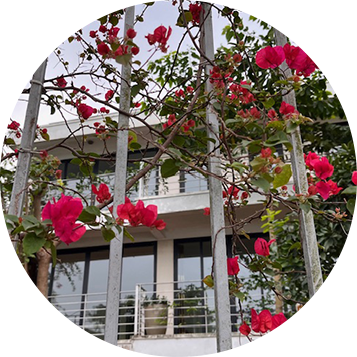 Hanoi Office - Ngoc Thuy